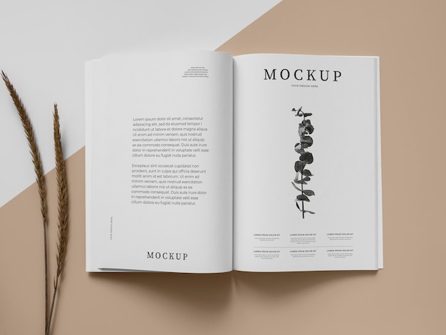 Magazine and plant mockup