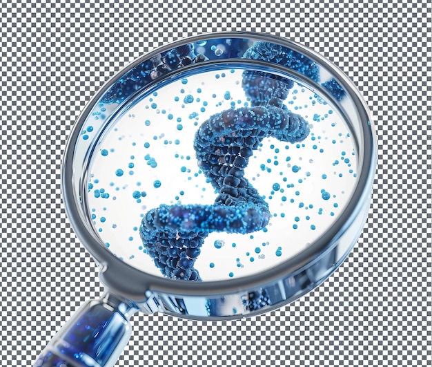 Magnificent DNA and Magnifying Glass isolated on transparent background