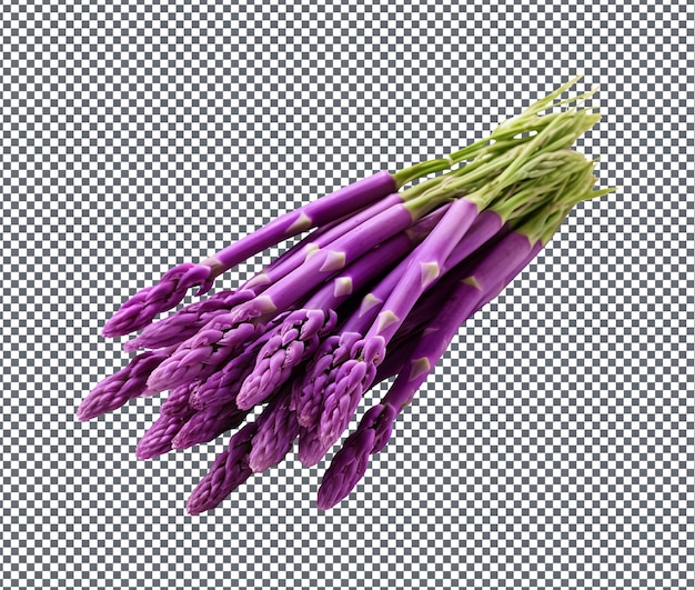 Magnificent Purple Asparagus Asparagus officinalis isolated on transparent background