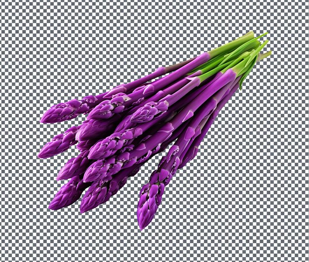 Magnificent Purple Asparagus Asparagus officinalis isolated on transparent background