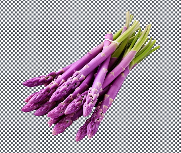 Magnificent Purple Asparagus Asparagus officinalis isolated on transparent background