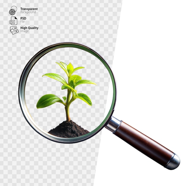 Magnified Young Plant Sprouting From Soil Through Magnifying Glass