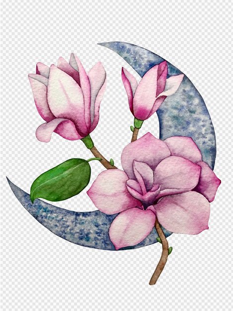 PSD magnolia and the moon watercolor illustration