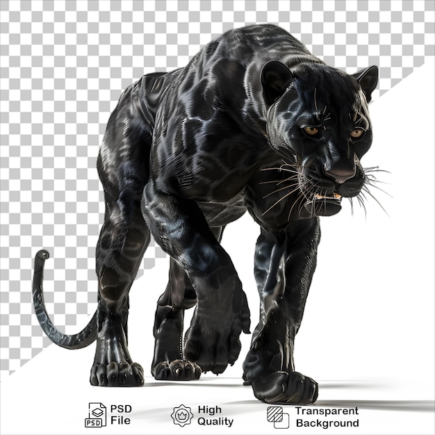 Majestic Black Panther PNG Big Cat Isolated on Transparent Background