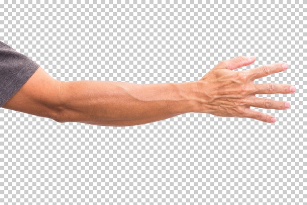 Man hand isolated