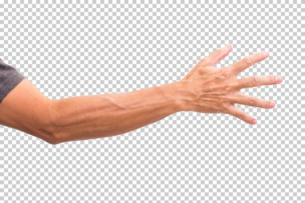 Man hand isolated