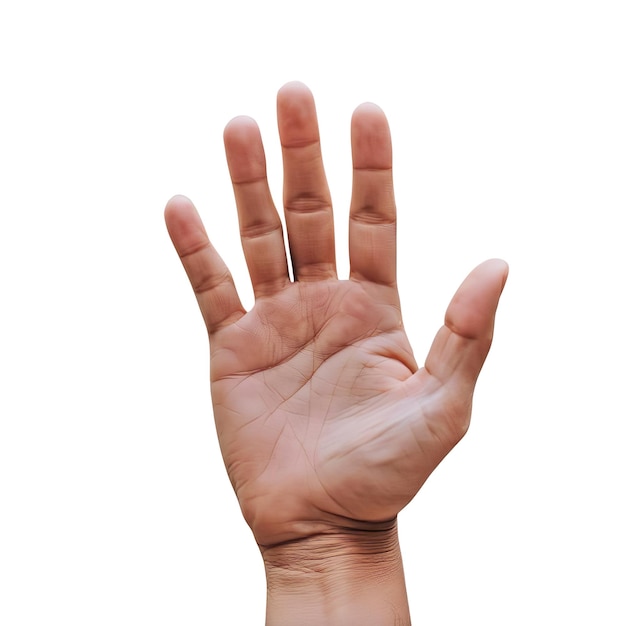 PSD man hand showing five fingers up on white background