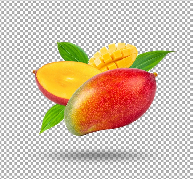 Mango fruit illustration isolated