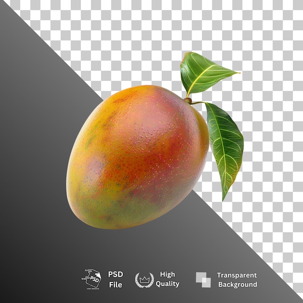 Mango isolated on transparent background