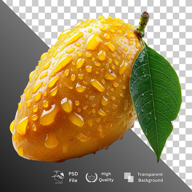 Mango isolated on transparent background