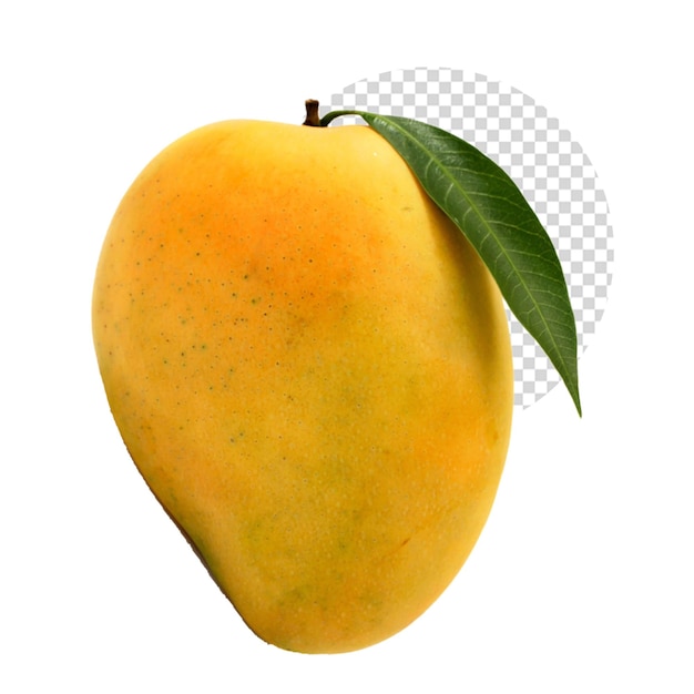 a mango with a green leaf on its top