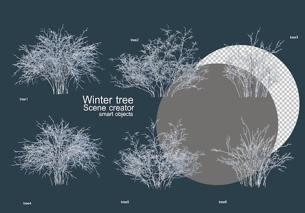 PSD many types of trees in winter