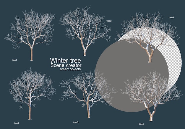 PSD many types of trees in winter