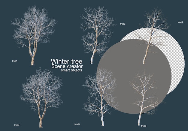 PSD many types of trees in winter