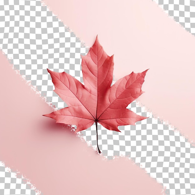 a maple leaf on a pink background with a white and black diamond pattern.