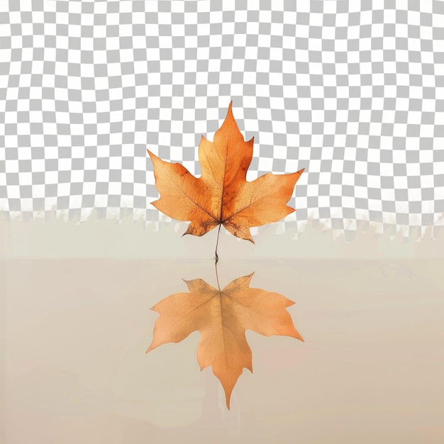 PSD a maple leaf with the word  fall  on it