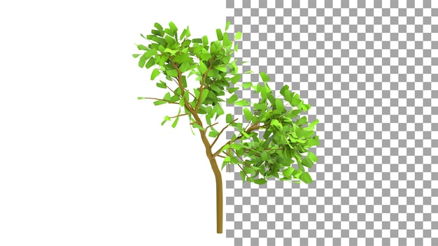 Maple tree without shadow 3d render