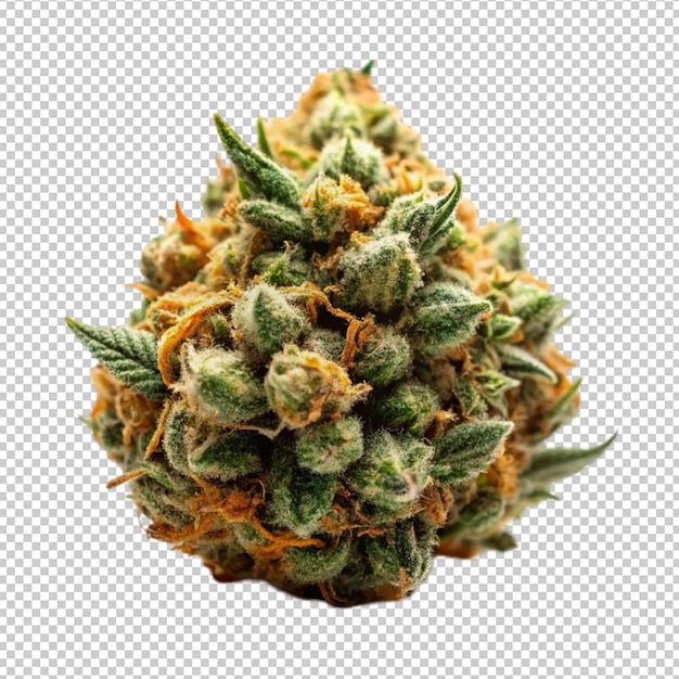 PSD marijuana bud isolated on transparent background