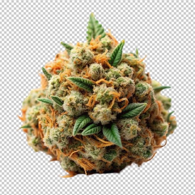 PSD marijuana bud isolated on transparent background