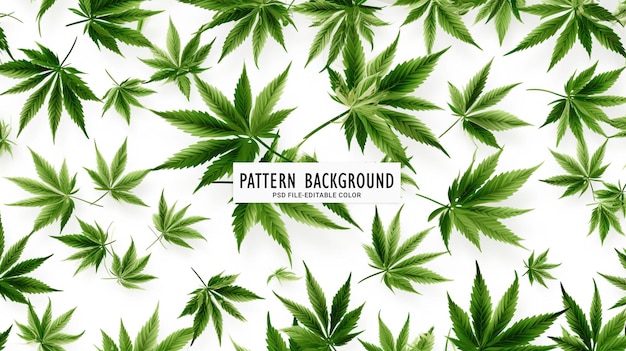 Marijuana green on white background seamless pattern