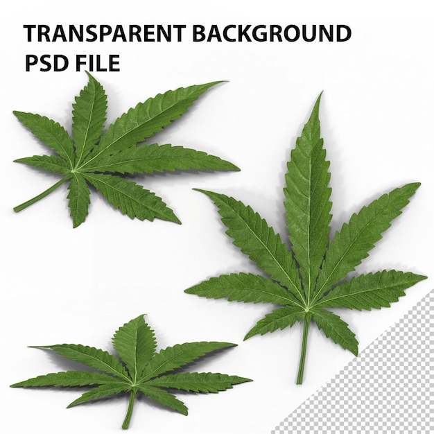 PSD marijuana leaf