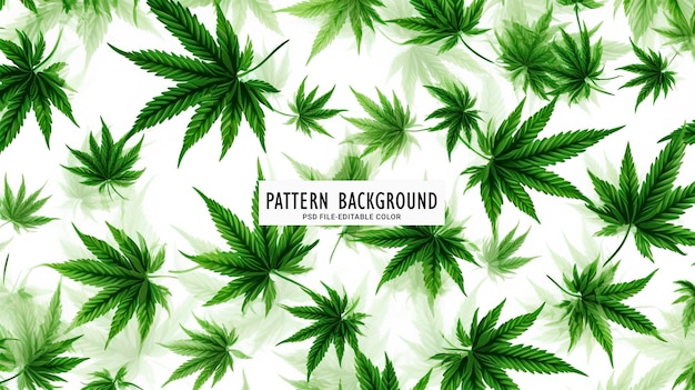 marijuana pattern of green leaves with green leaves on a white background