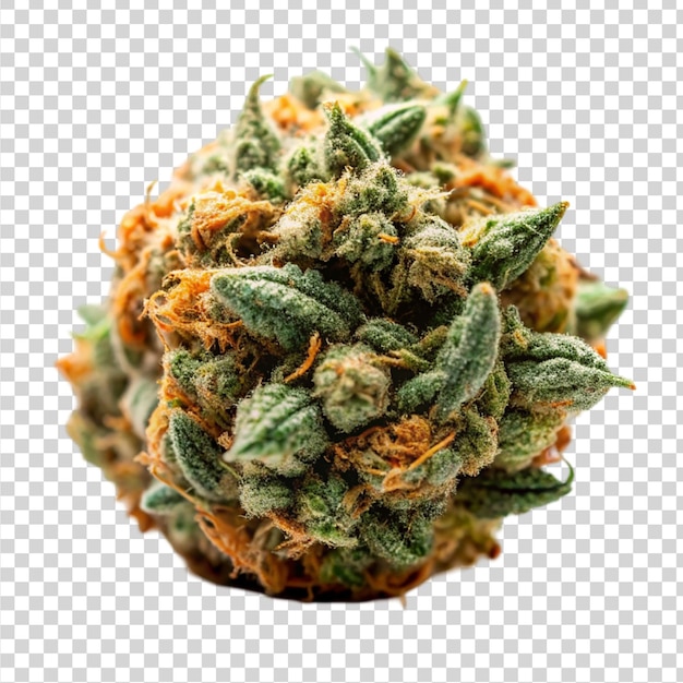 PSD marijuana strain flower isolated on transparent background