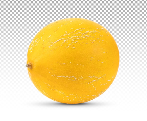 Melon isolated