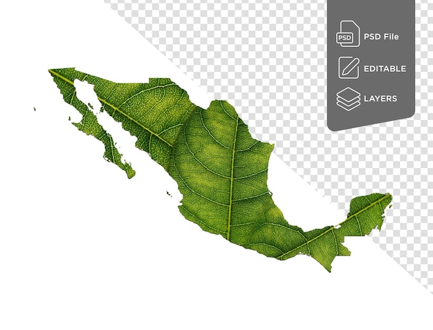 Mexico map made of green leaves on isolated background ecology concept