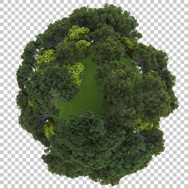 Micro planet with tropical forest on transparent background 3d rendering illustration