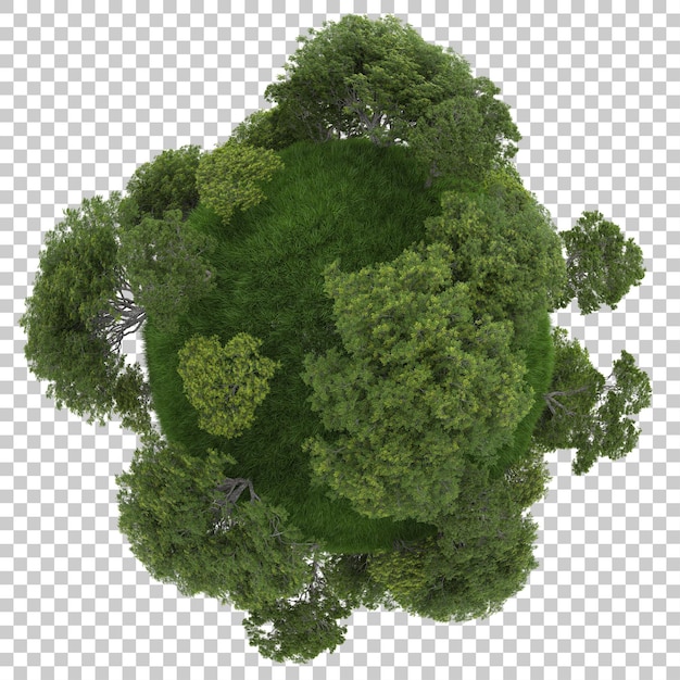 Micro planet with tropical forest on transparent background 3d rendering illustration