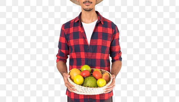 Midsection of farmer holding a basket of fruits isolated on white