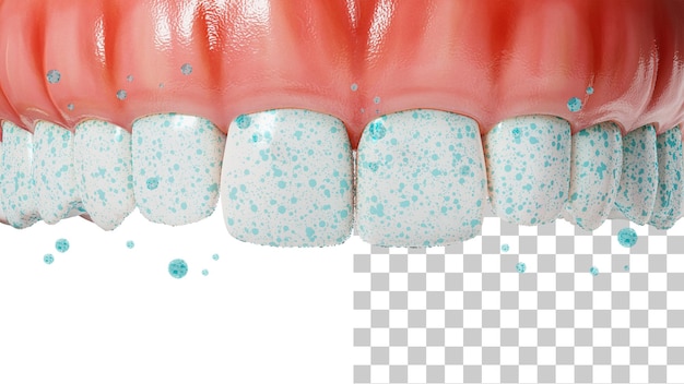 Mineralization of teeth Teeth with calcium and fluoride 3d render Whitening or remineralization