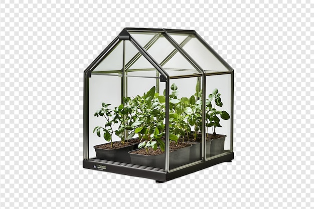 Mini greenhouse with herb plants isolated on a transparent background