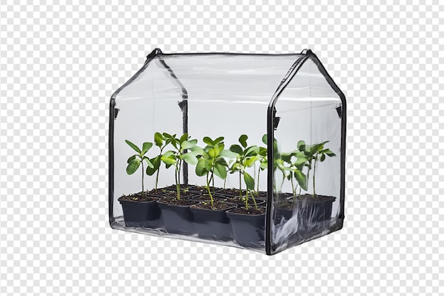 PSD mini greenhouse with herb plants isolated on a transparent background