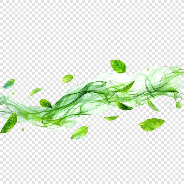 Mint leaves flying isolated on transparent background