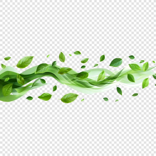 Mint leaves flying isolated on transparent background