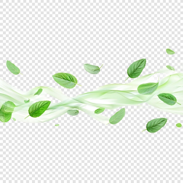 PSD mint leaves flying isolated on transparent background