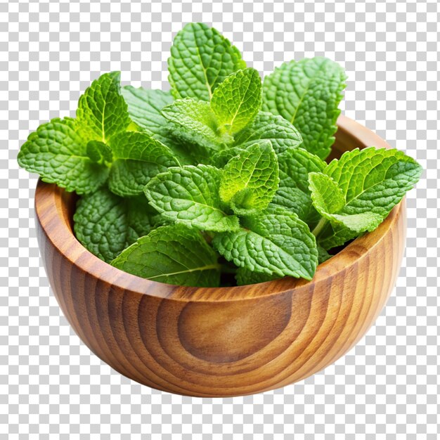 Mint leaves in wooden bowl isolated on transparent background