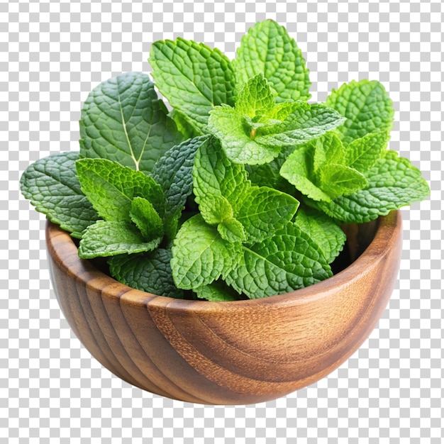 Mint leaves in wooden bowl isolated on transparent background