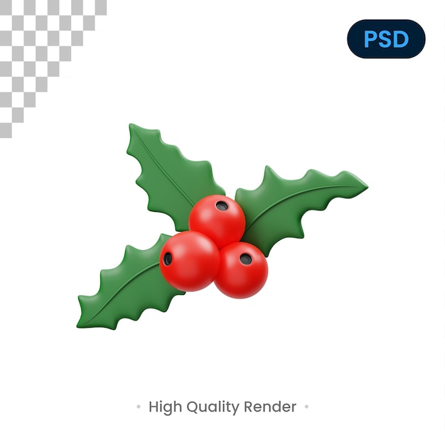 Mistletoe 3D Icon Premium Psd