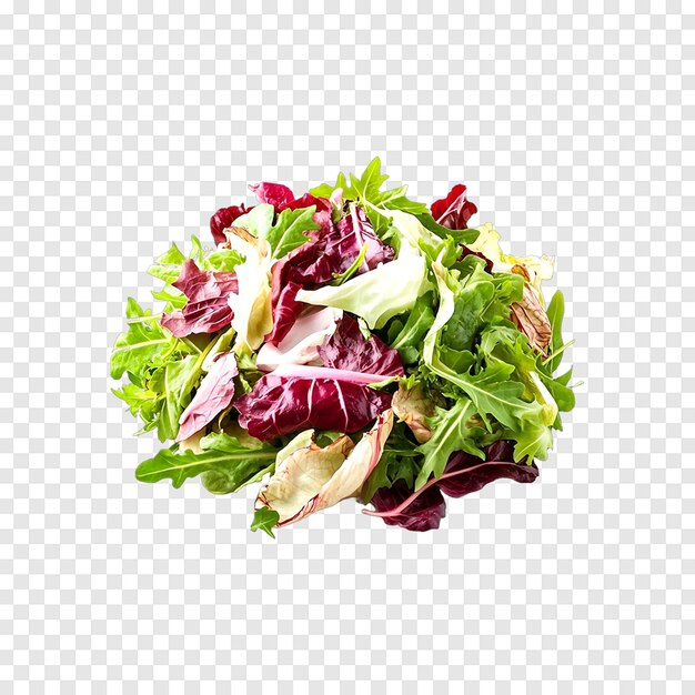 PSD mix salad with rucola frisee radicchio and lettuce on a transparent background