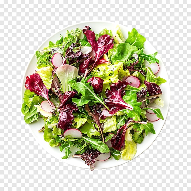 PSD mix salad with rucola frisee radicchio and lettuce on a transparent background