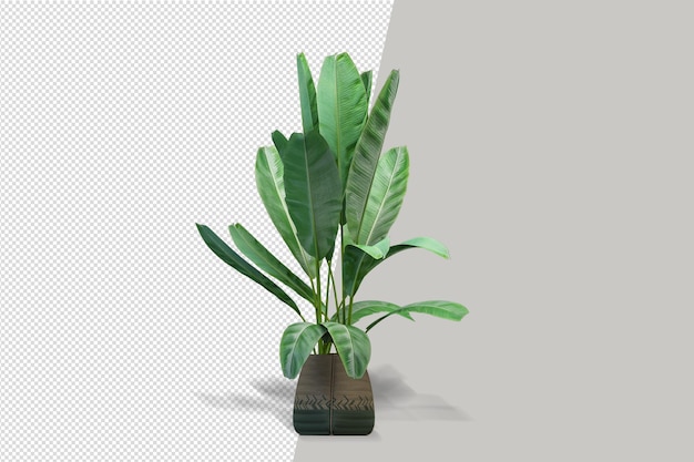 Mockup of 3d rendered plants in pot