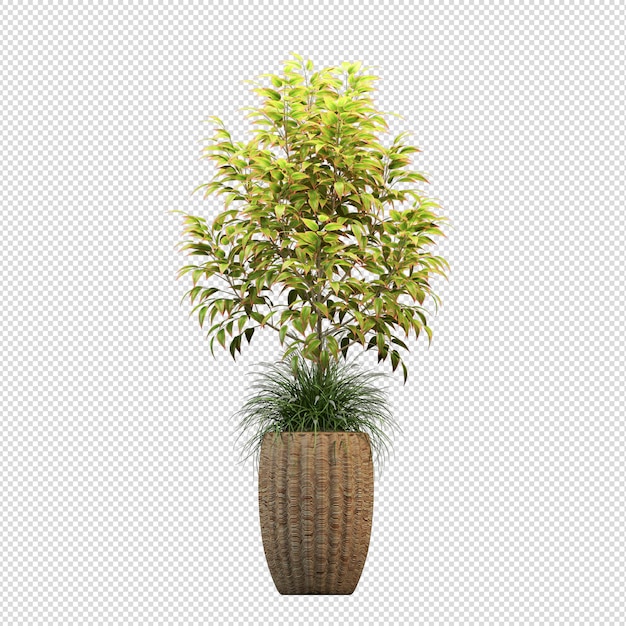 Mockup of 3d rendered plants in pots