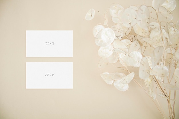 Mockup business cards with lunaria leaves on beige background