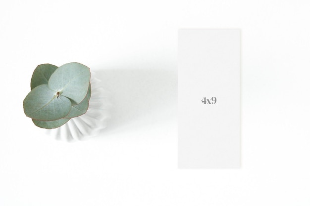 PSD mockup menu card with eucalyptus leaf on the white background