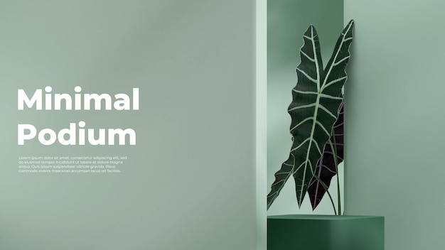 Mockup scene of green rectangle podium in landscape with alocasia amazonica house plant 3D render