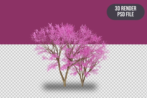 Modern 3D render pink sakura tree isolated