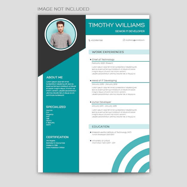 PSD modern resume modern cv modern vitae picture spot included